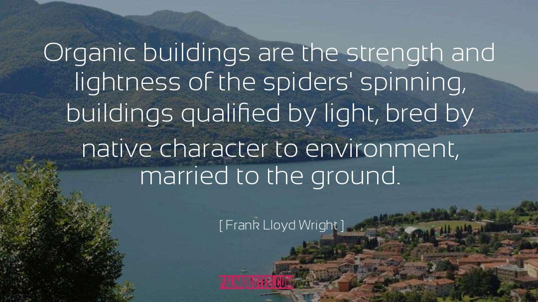 Anythink Wright quotes by Frank Lloyd Wright