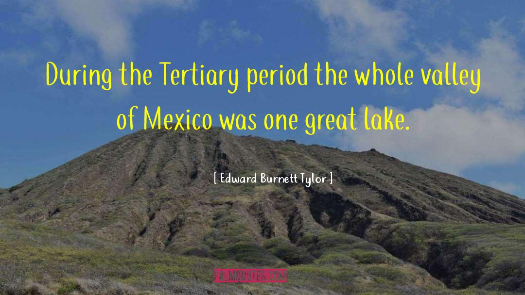 Apa Period quotes by Edward Burnett Tylor