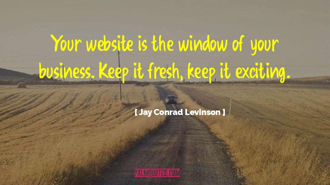 Apa Website Quote quotes by Jay Conrad Levinson