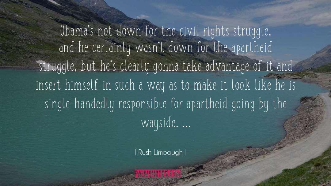 Apartheid quotes by Rush Limbaugh