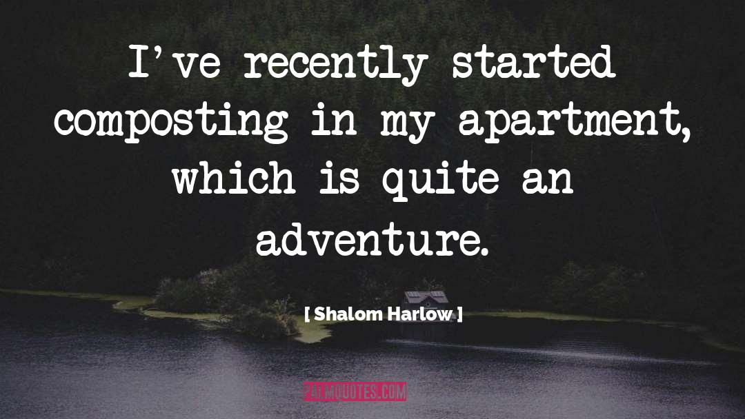 Apartment quotes by Shalom Harlow