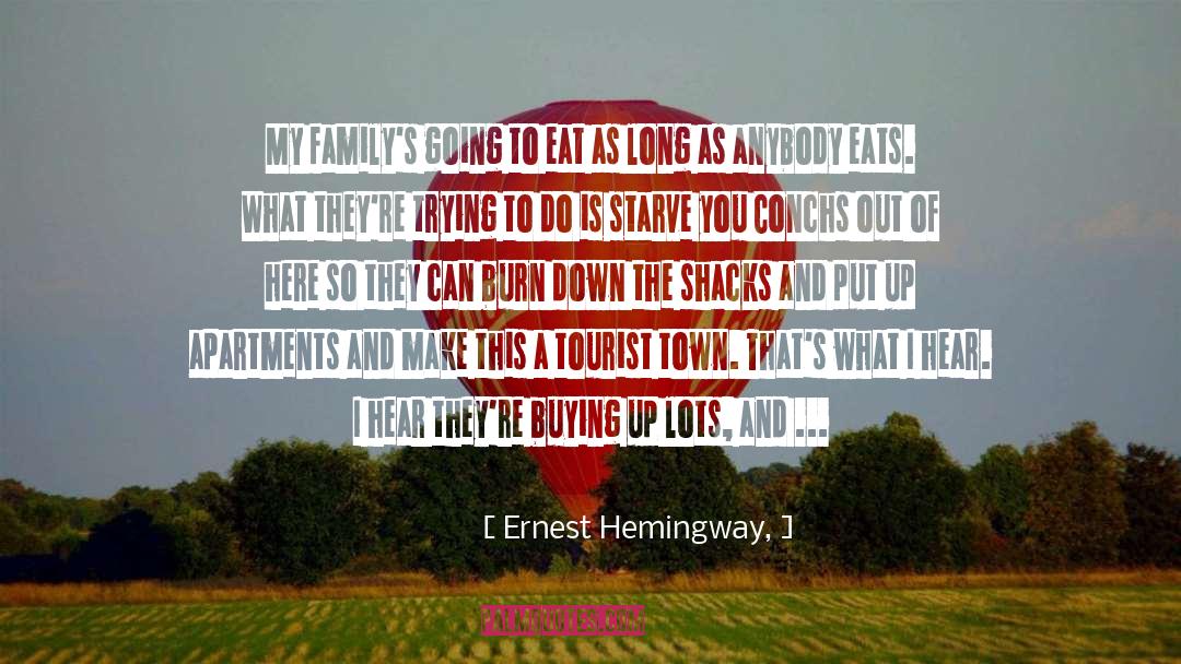 Apartments quotes by Ernest Hemingway,