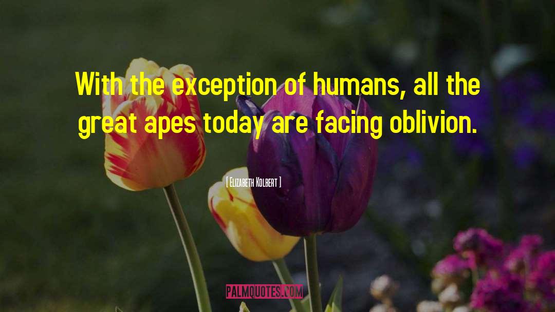 Apes quotes by Elizabeth Kolbert