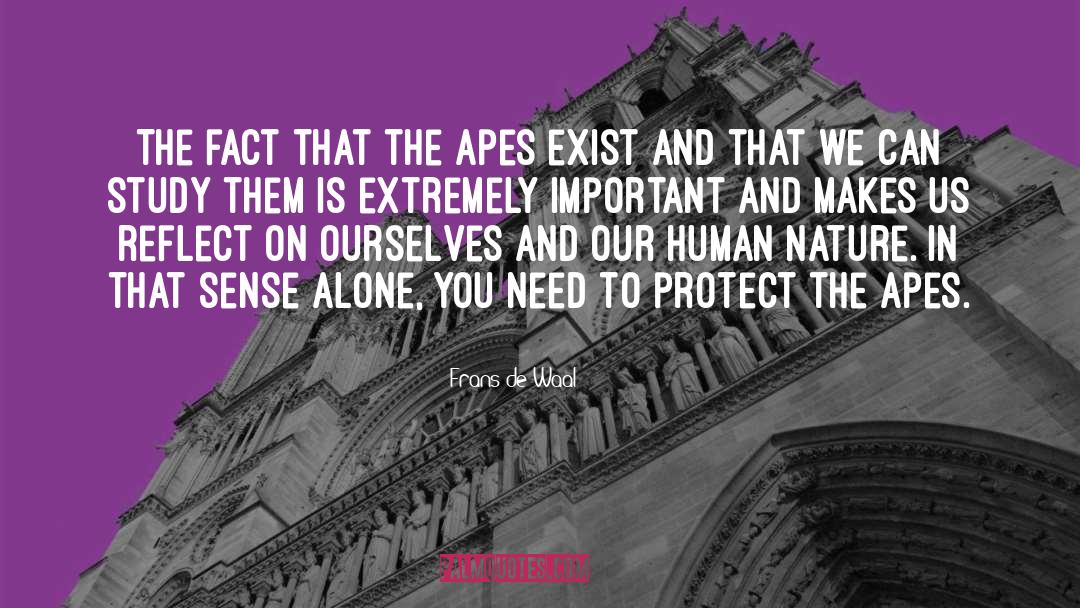 Apes quotes by Frans De Waal