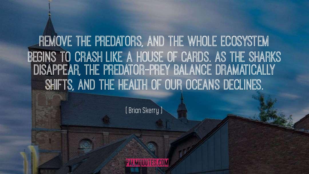 Apex Predators quotes by Brian Skerry