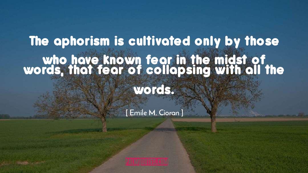 Aphorism quotes by Emile M. Cioran