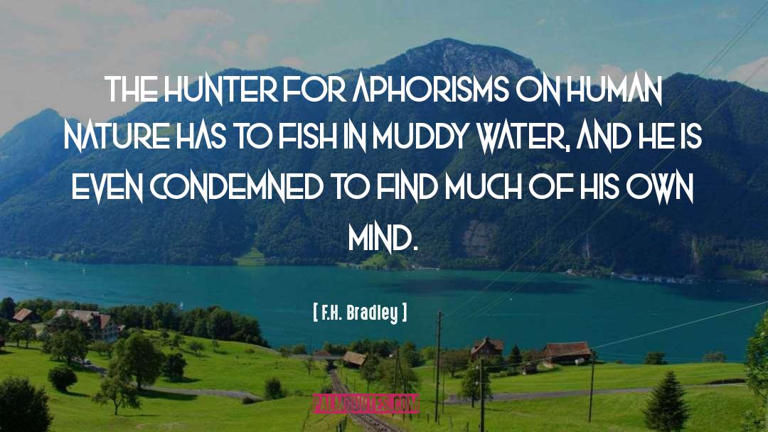 Aphorisms quotes by F.H. Bradley