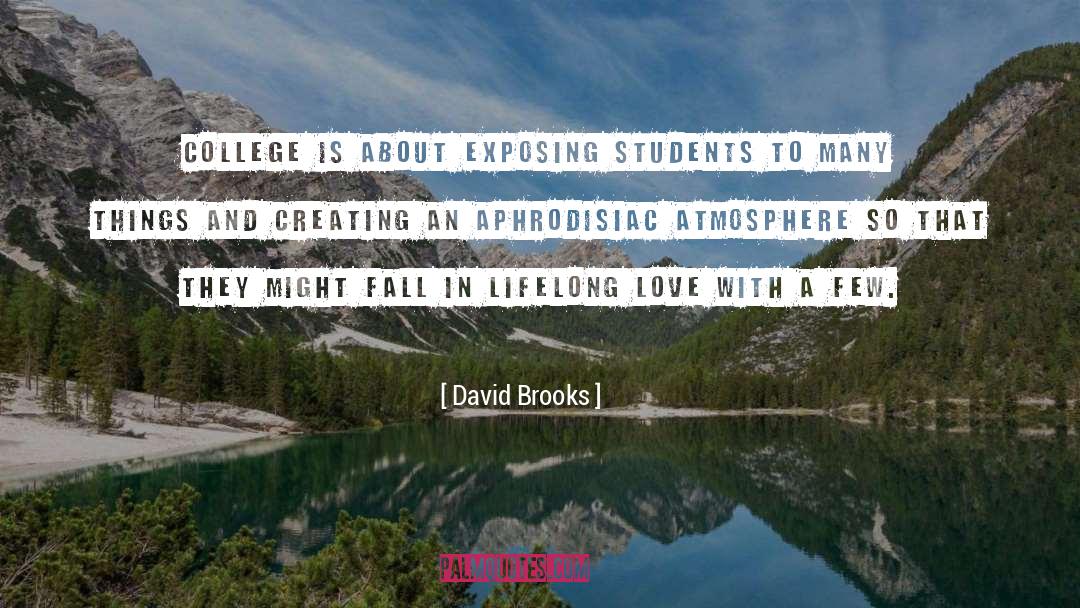 Aphrodisiac quotes by David Brooks