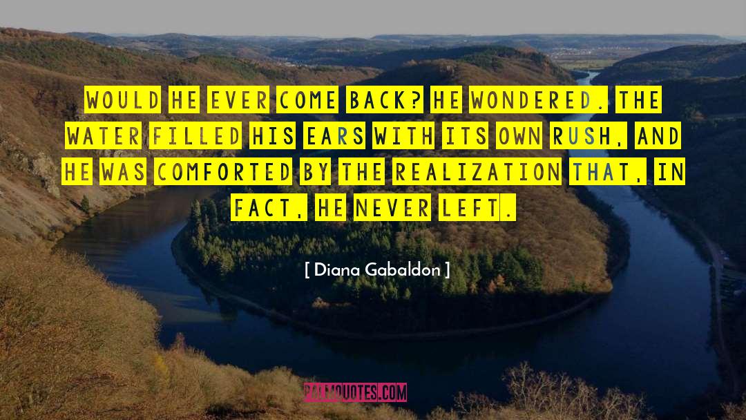 Apollinaris Water quotes by Diana Gabaldon