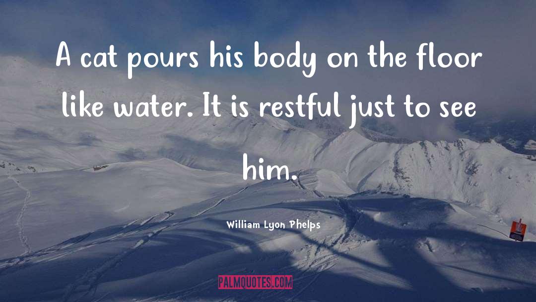 Apollinaris Water quotes by William Lyon Phelps