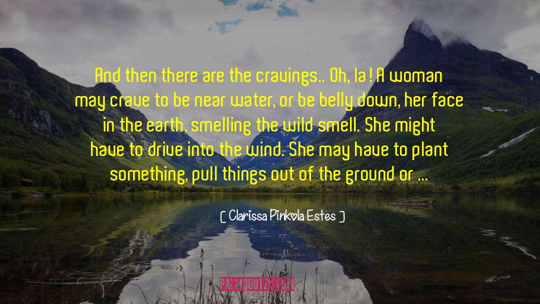 Apollinaris Water quotes by Clarissa Pinkola Estes