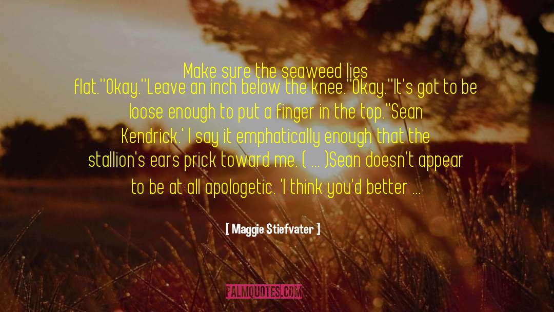 Apologetic quotes by Maggie Stiefvater