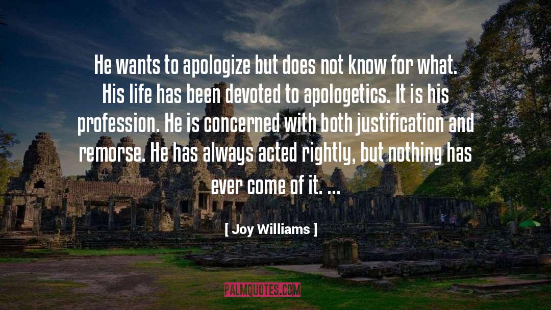 Apologetics quotes by Joy Williams