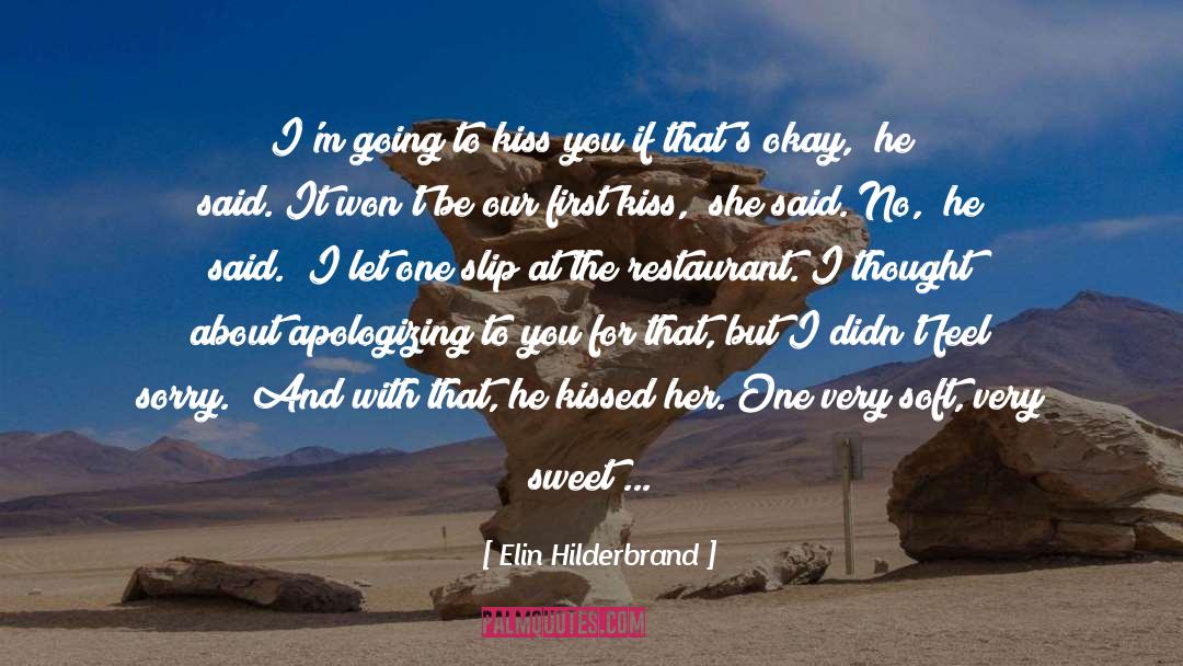 Apologizing quotes by Elin Hilderbrand