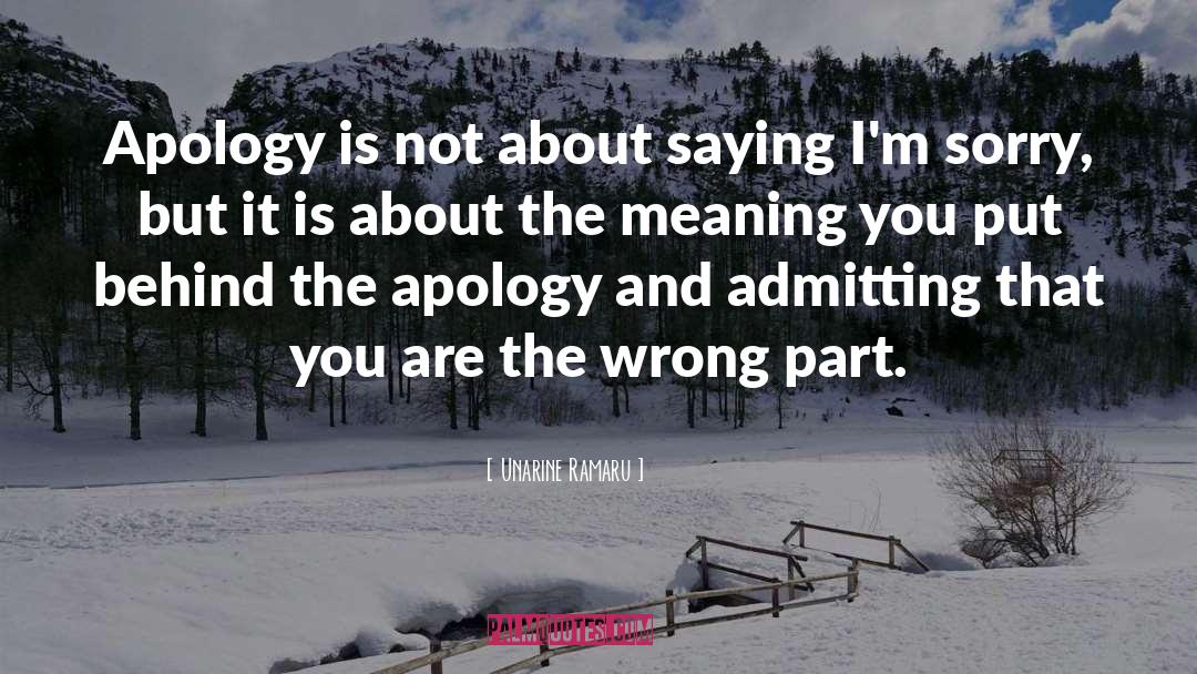 Apology quotes by Unarine Ramaru