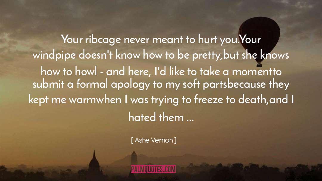 Apology quotes by Ashe Vernon