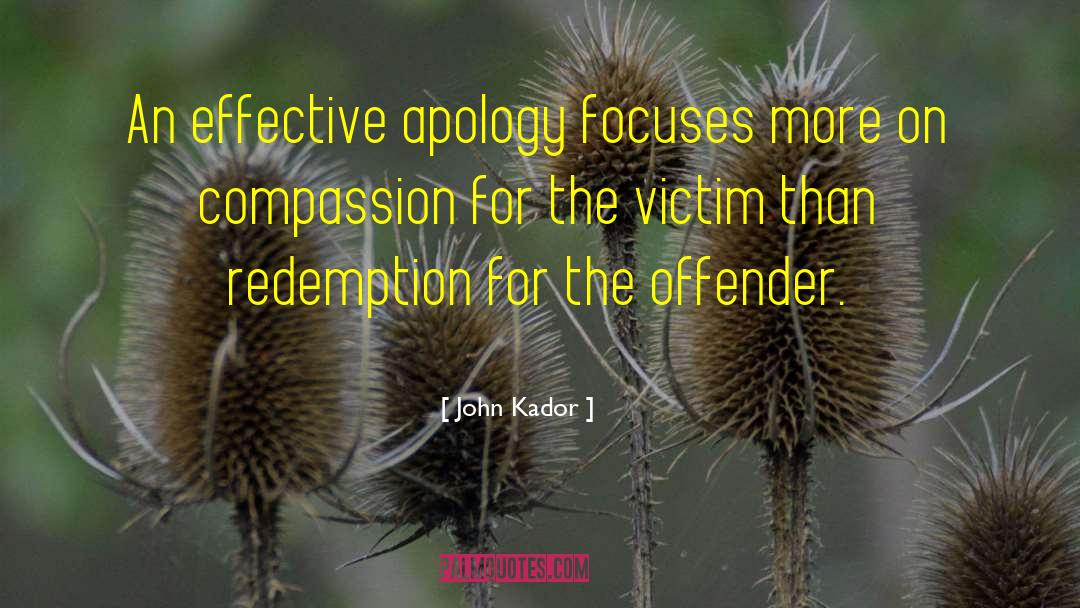 Apology quotes by John Kador