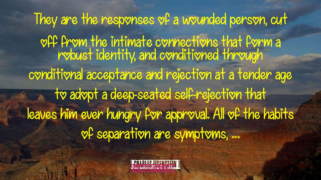 Apoplexy Symptoms quotes by Charles Eisenstein