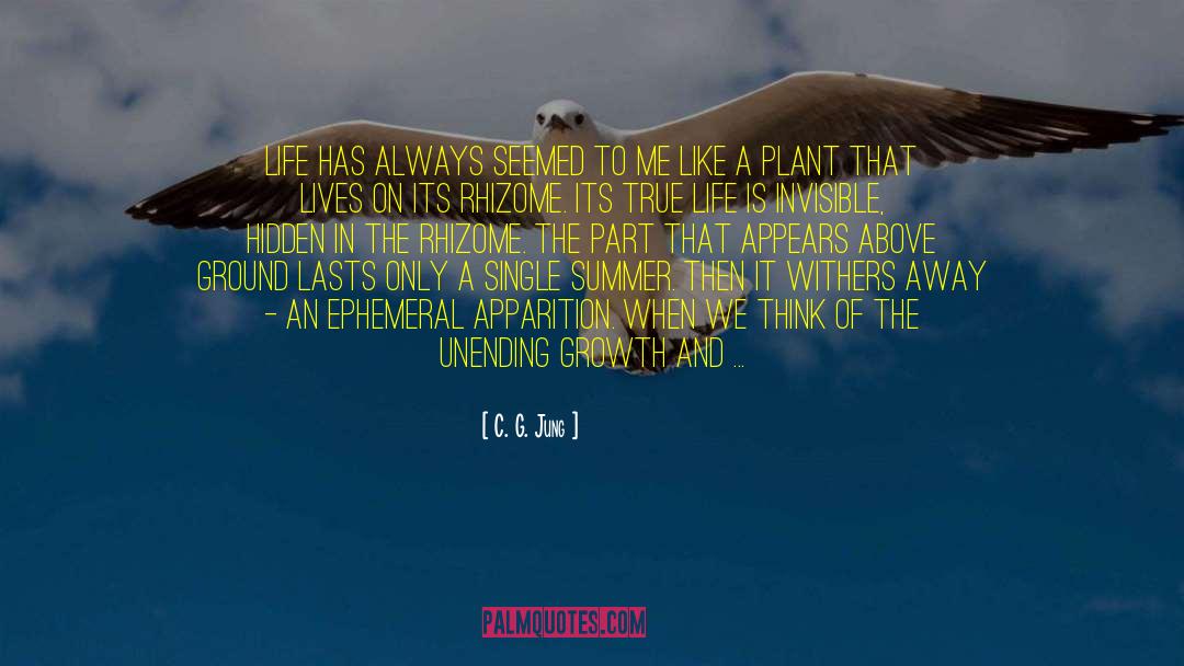 Apparition quotes by C. G. Jung