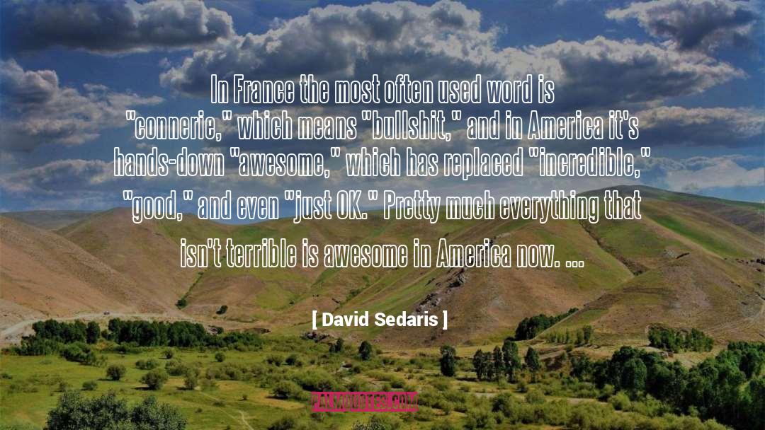 Appearance Language quotes by David Sedaris