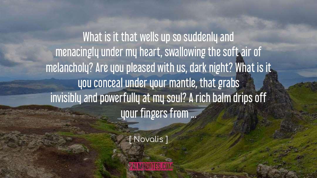 Appears quotes by Novalis