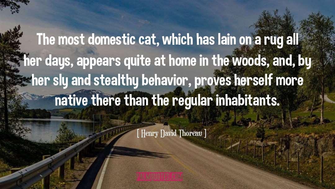 Appears quotes by Henry David Thoreau