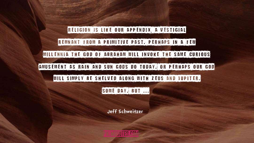 Appendix quotes by Jeff Schweitzer