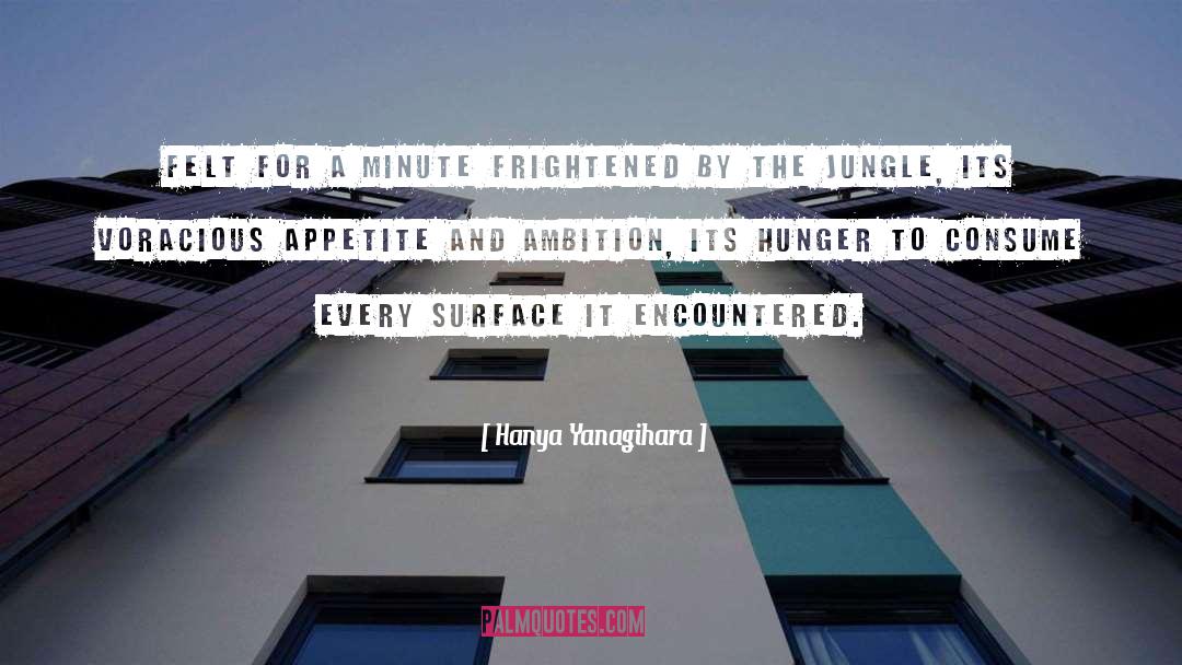Appetite quotes by Hanya Yanagihara