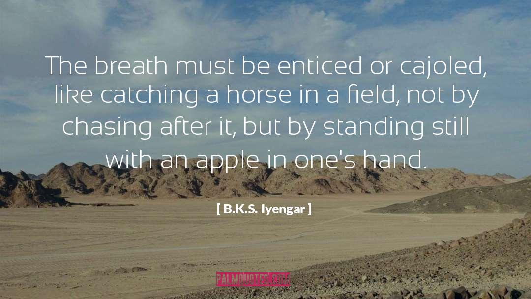 Apple Founder quotes by B.K.S. Iyengar