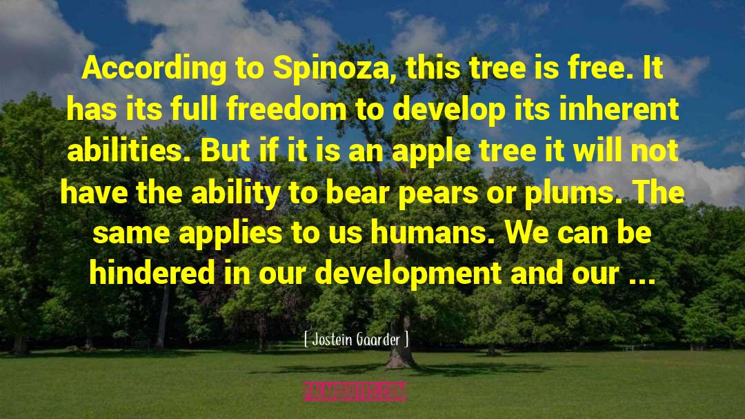 Apple Inc quotes by Jostein Gaarder