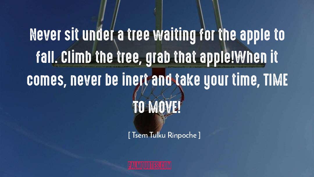 Apple quotes by Tsem Tulku Rinpoche