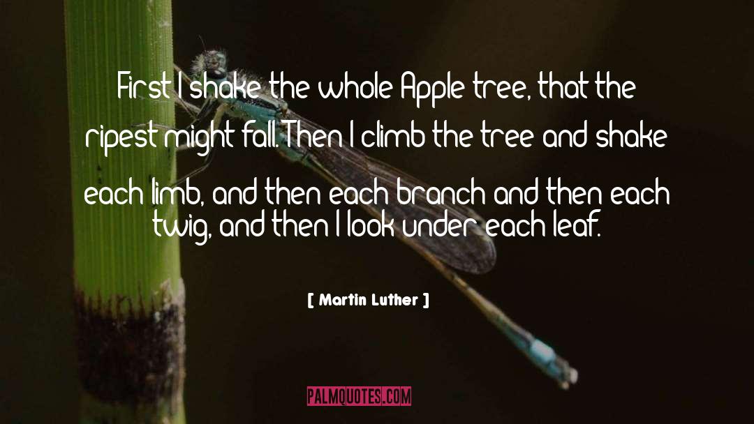 Apple quotes by Martin Luther