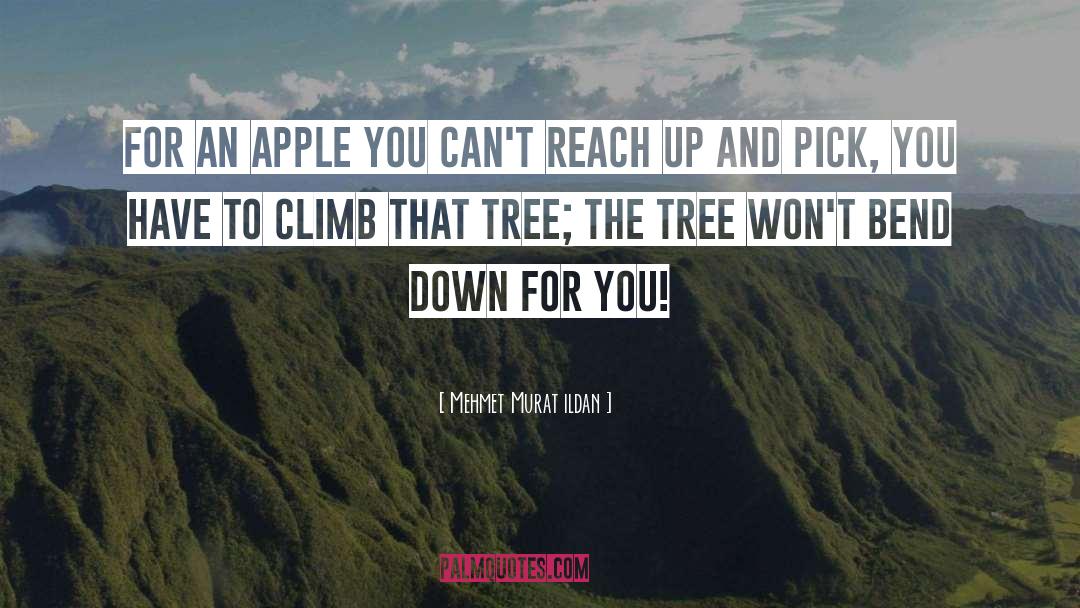 Apple Seeds quotes by Mehmet Murat Ildan