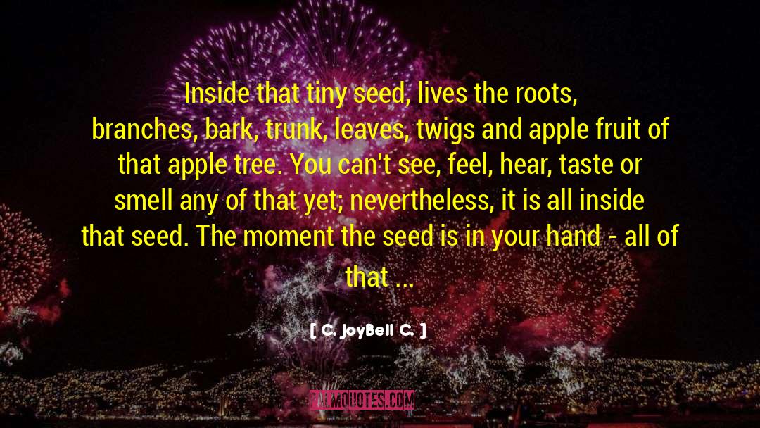 Apple Seeds quotes by C. JoyBell C.