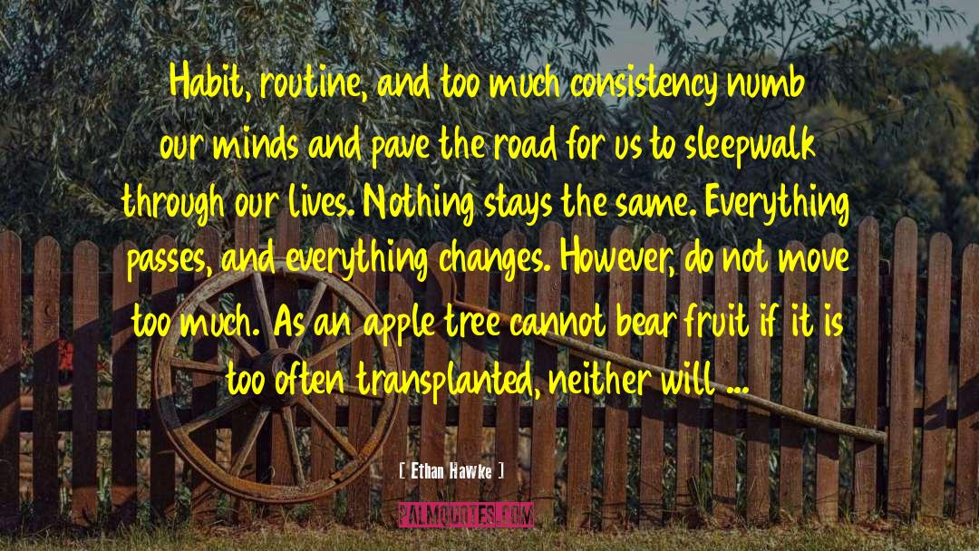 Apple Tree quotes by Ethan Hawke