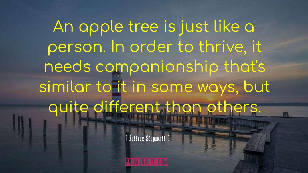 Apple Tree quotes by Jeffrey Stepakoff