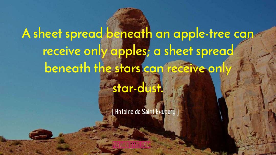 Apple Tree quotes by Antoine De Saint Exupery