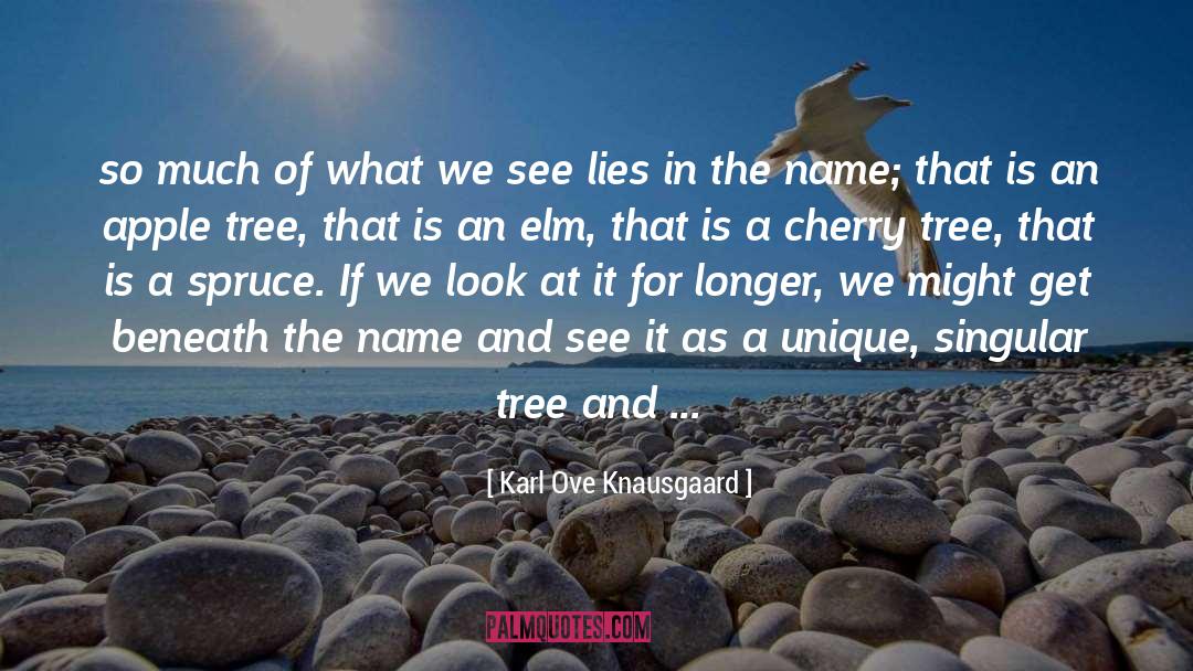 Apple Tree quotes by Karl Ove Knausgaard