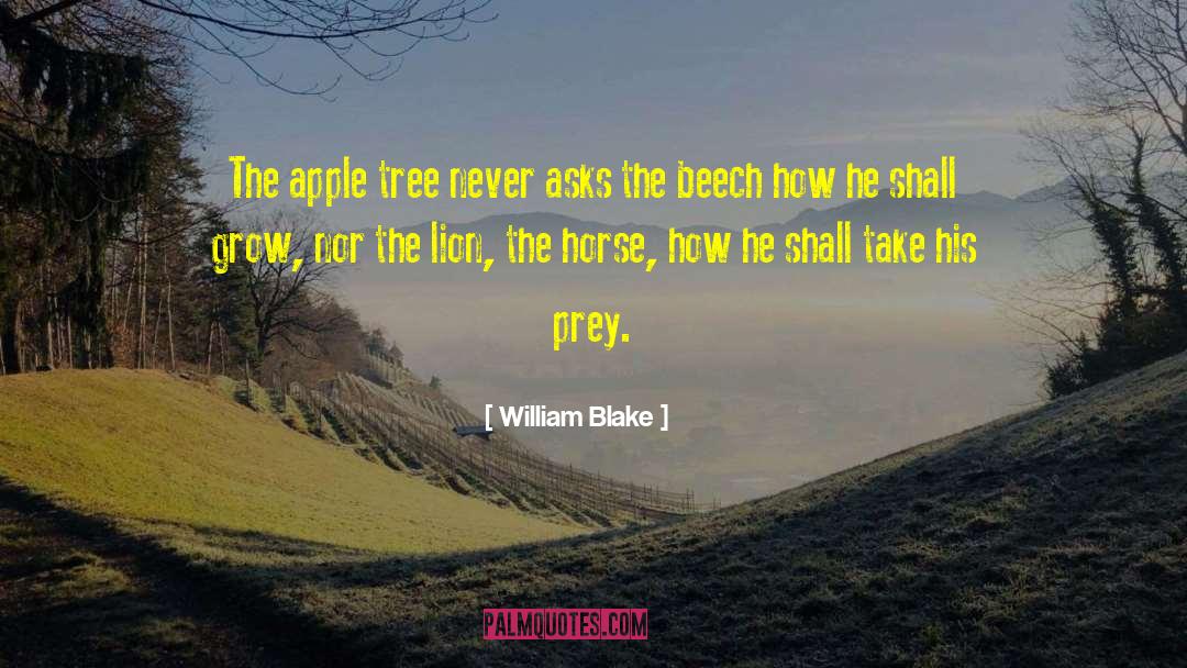 Apple Tree quotes by William Blake