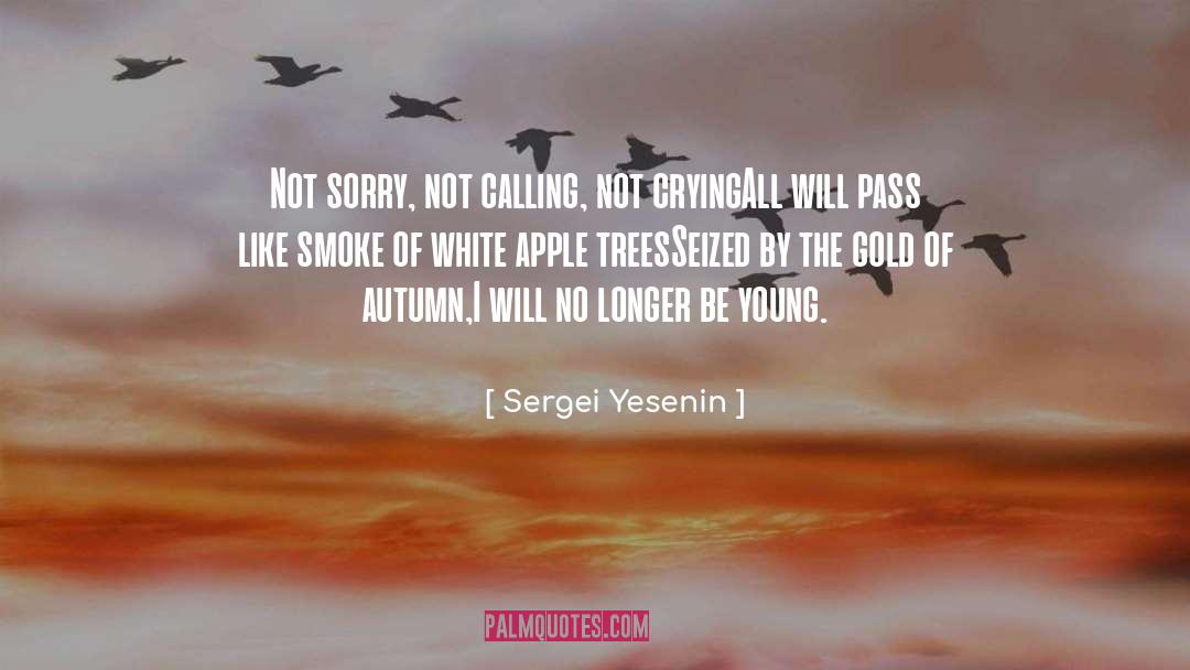 Apple Trees quotes by Sergei Yesenin
