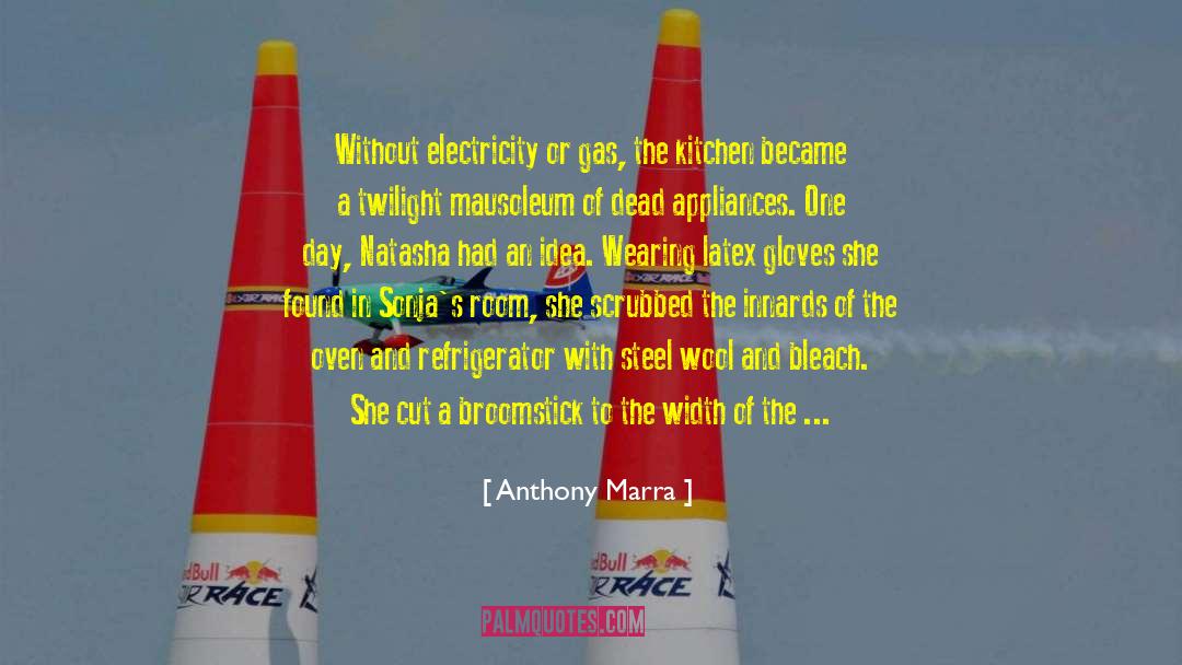 Appliances quotes by Anthony Marra