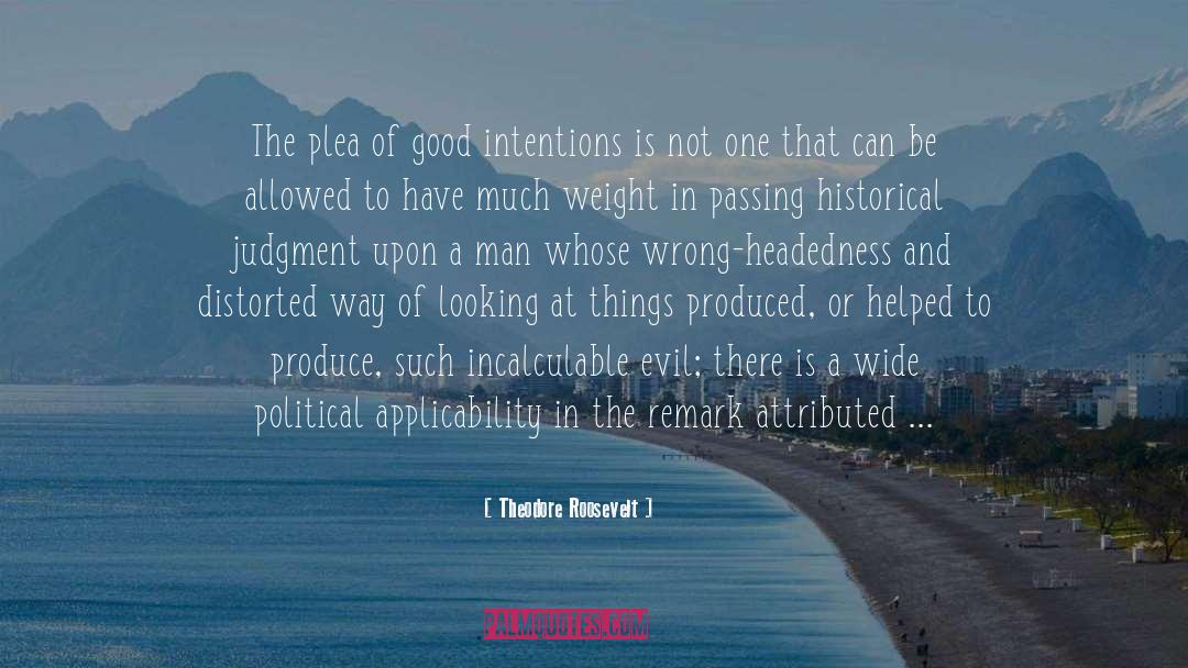 Applicability quotes by Theodore Roosevelt