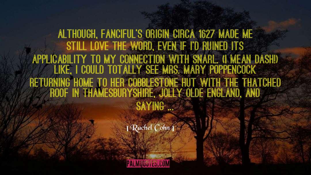 Applicability quotes by Rachel Cohn