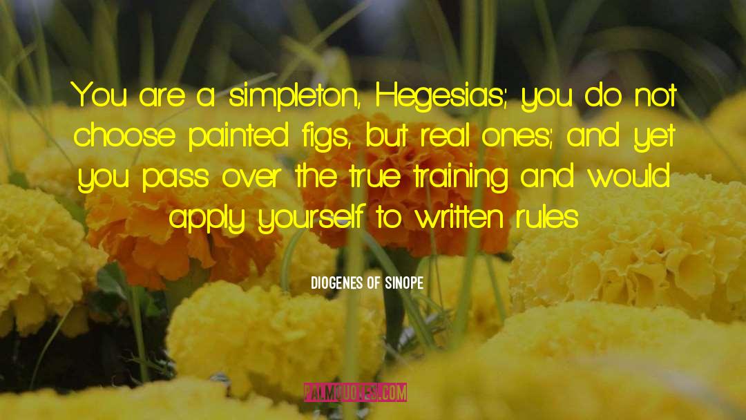 Apply Yourself quotes by Diogenes Of Sinope