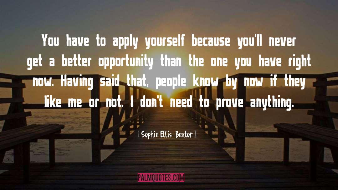 Apply Yourself quotes by Sophie Ellis-Bextor