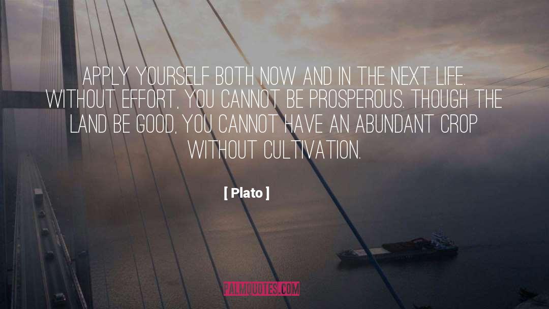 Apply Yourself quotes by Plato