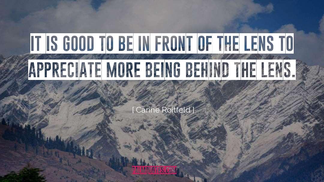 Appreciate Good Health quotes by Carine Roitfeld