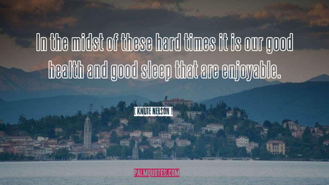 Appreciate Good Health quotes by Knute Nelson