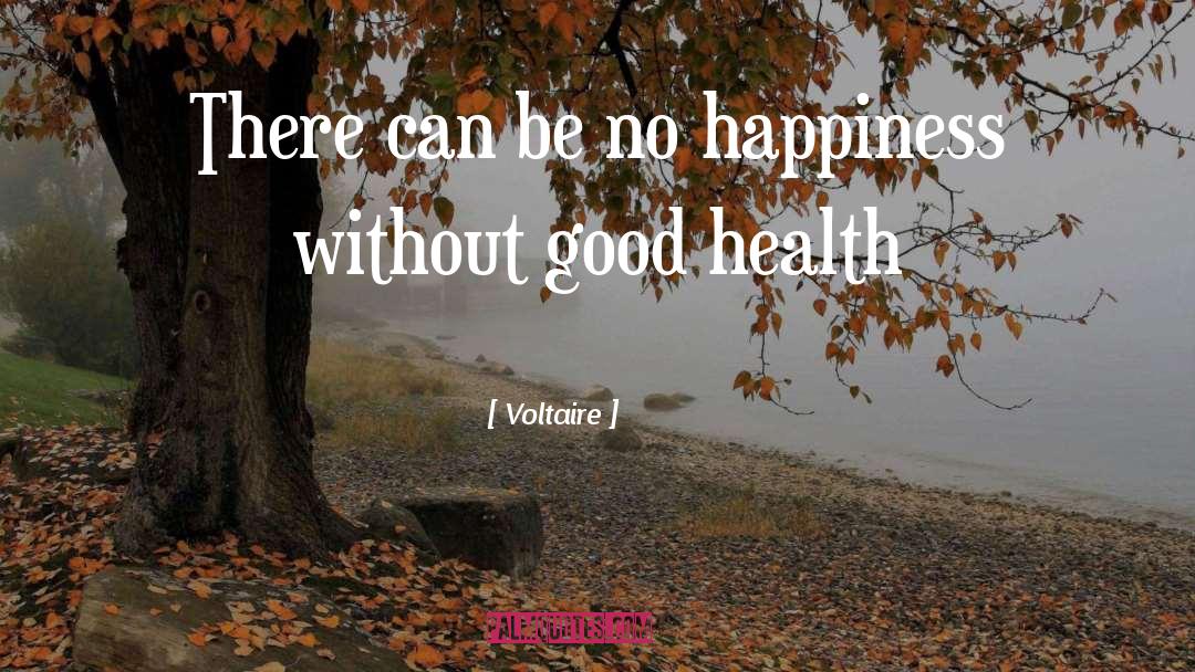 Appreciate Good Health quotes by Voltaire