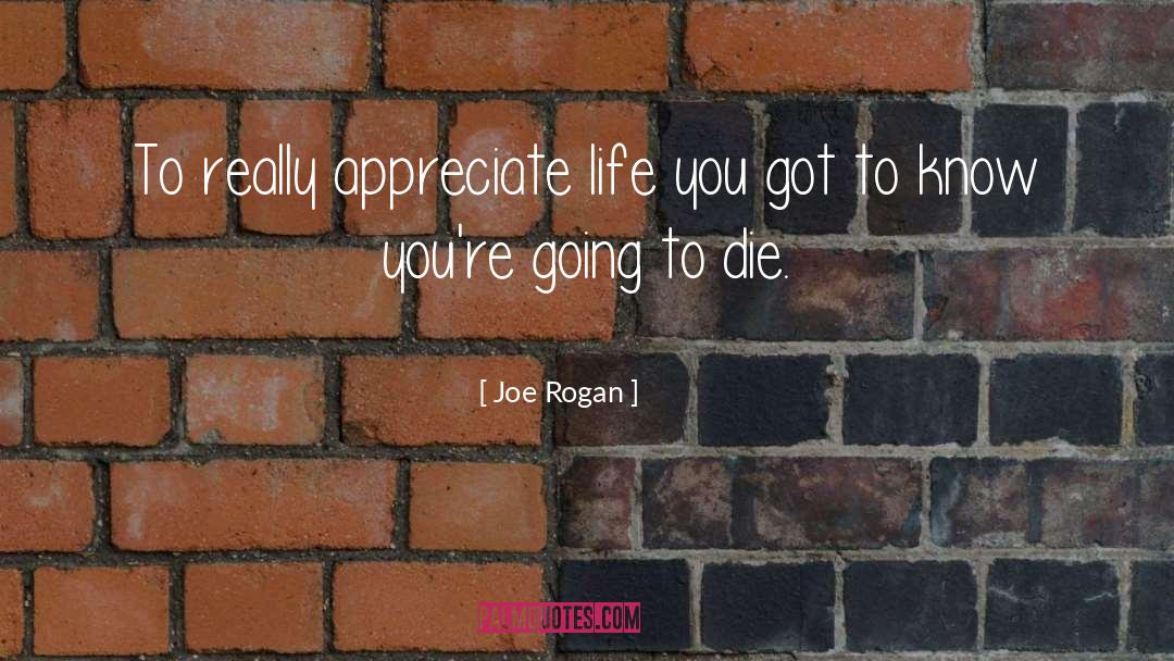 Appreciate Life quotes by Joe Rogan